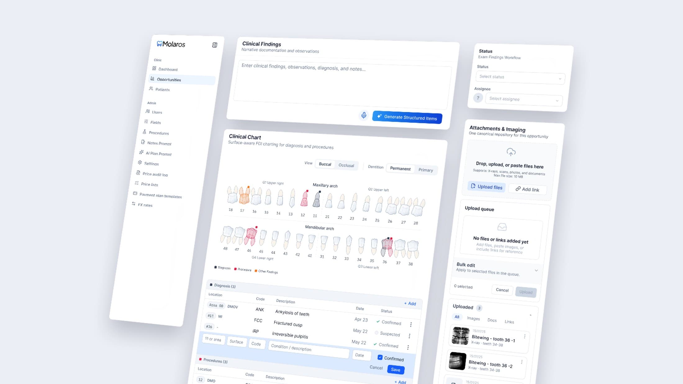 MolarOS Design System cover